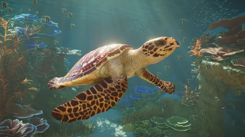 A sea turtle in an aquarium